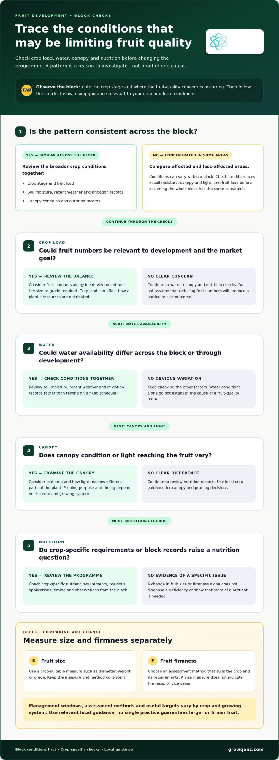 How to Increase Fruit Size and Firmness Naturally: A Practical Grower Guide